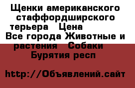 Щенки американского стаффордширского терьера › Цена ­ 20 000 - Все города Животные и растения » Собаки   . Бурятия респ.